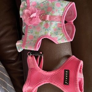 Small & X-Small Dog harness